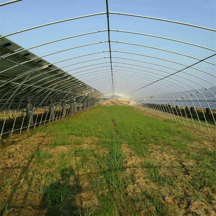 6分圆管大棚骨架