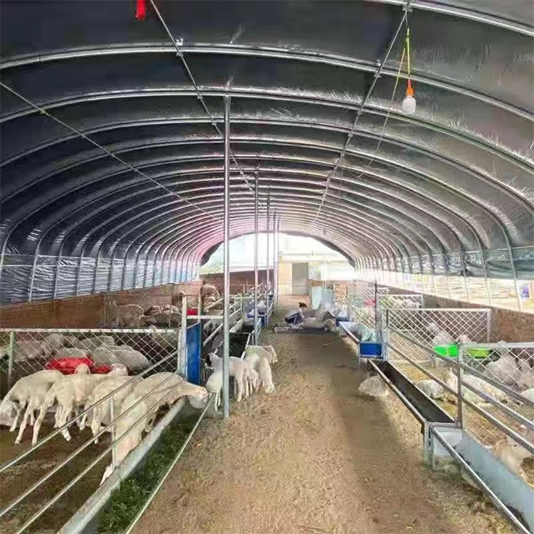 养殖大棚骨架包塑椭圆管